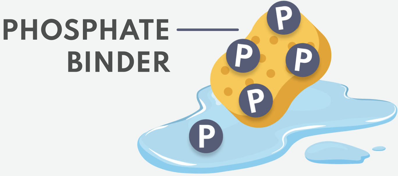 Diagram showing phosphate binders binding to phosphorus